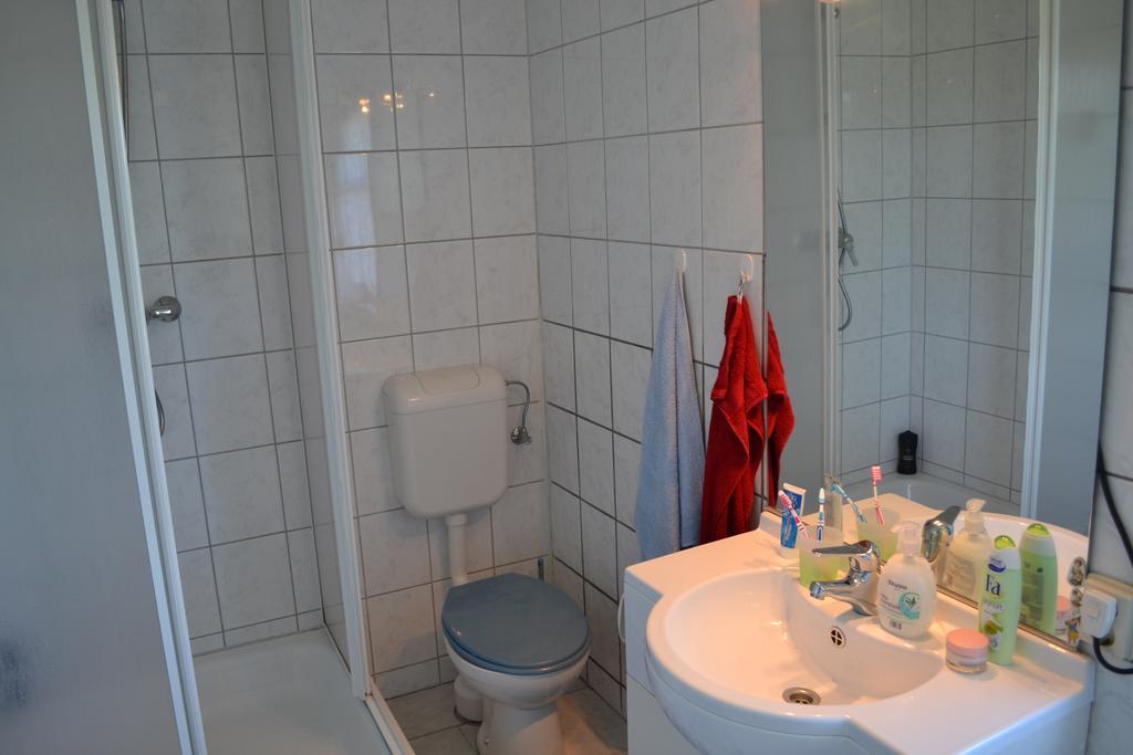 Auf Der Weide Lejlighed Oberweißbach Eksteriør billede